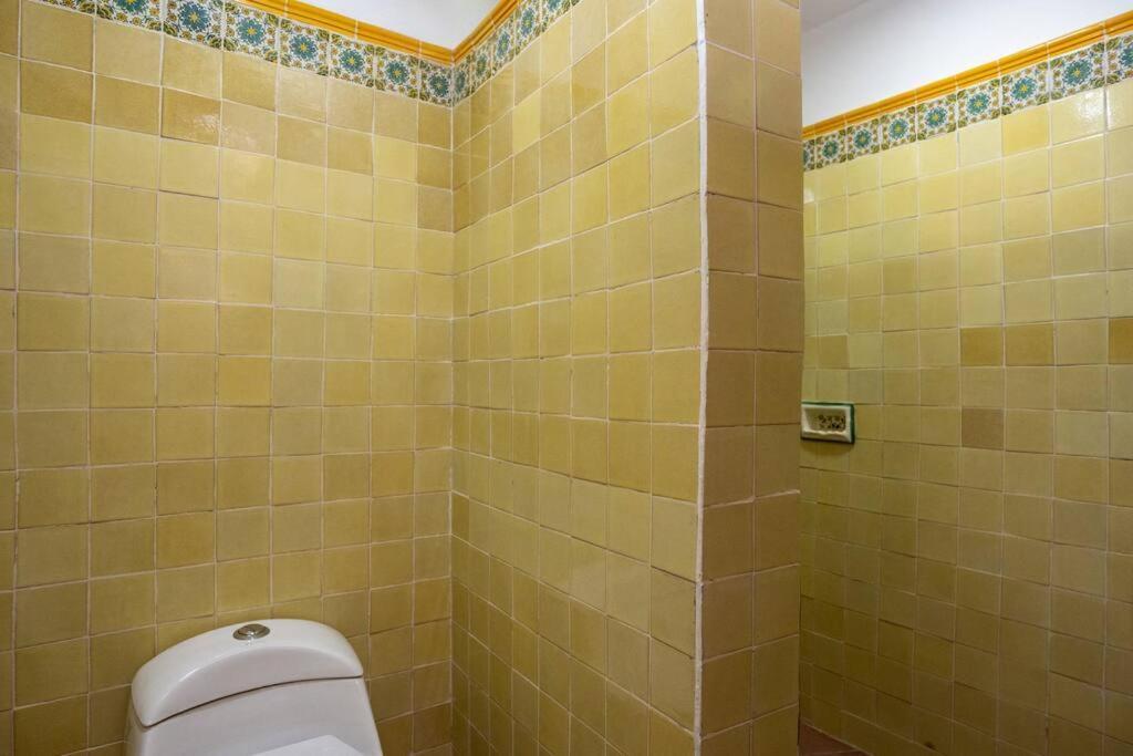 Amapola Loft Lejlighed San Miguel de Allende Eksteriør billede